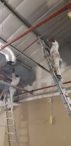 Ceiling and damp repair work in a Cape Town home